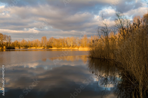 Fototapeta Naklejka Na Ścianę i Meble -  Nad stawem