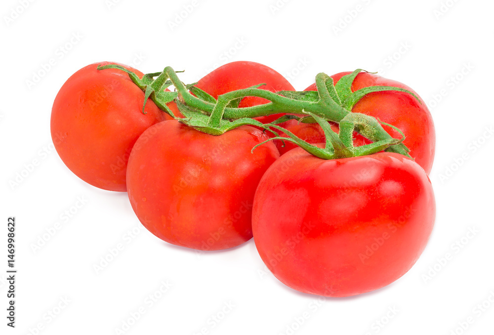 Branch of the ripe red tomatoes closeup Branch of the ripe red tomatoes closeup