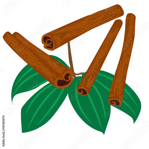  cinnamon sticks spice icon isolated
