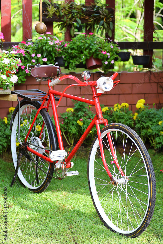 Red bicycle in garden