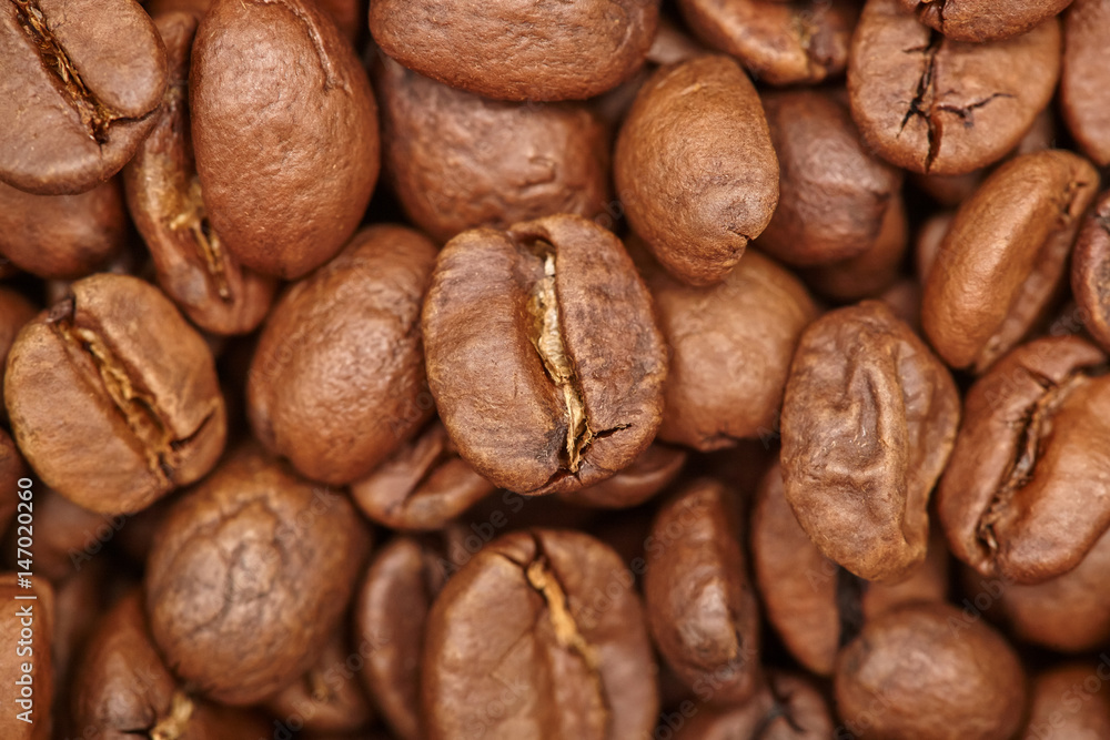 Group of brown coffee grains background, macro, close-up Group of brown coffee grains background, macro, close-up
