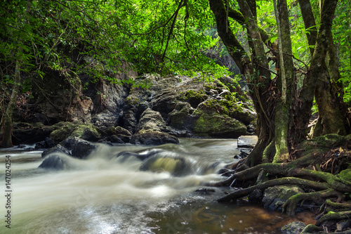 motion of waterfall , green trees and brook breezy cool