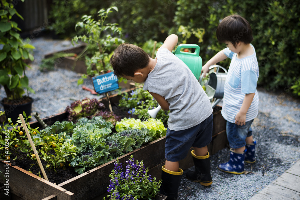 custom made wallpaper toronto digitalGroup of kindergarten kids learning gardening outdoors