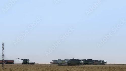 Harvester machine to harvest wheat field working. Combine harvester agriculture machine harvesting golden ripe wheat field. Cloudy Sky. photo