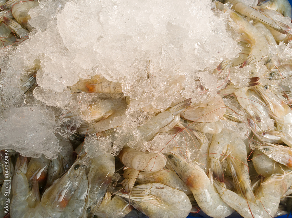 Fresh shrimp on ice Fresh shrimp on ice