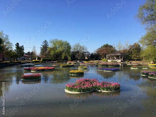 Tulip park