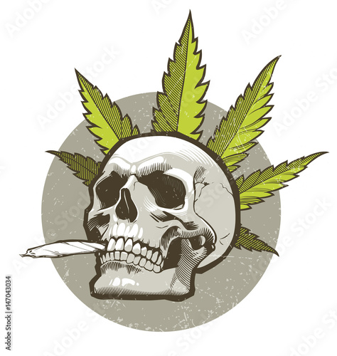 Skull with cigarette and marijuana leaves on the background
