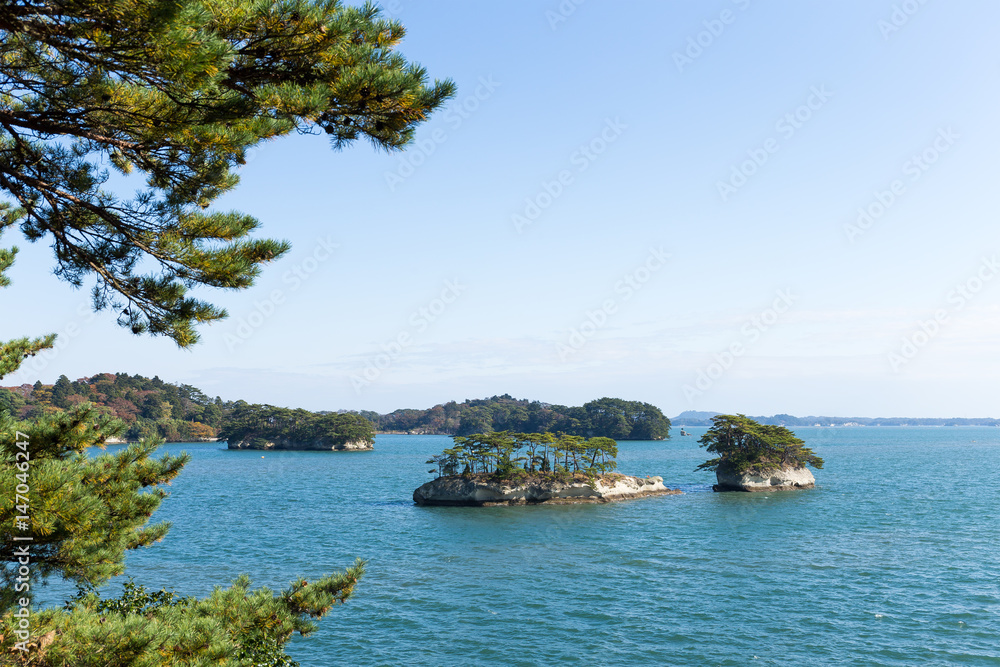 Japanese Matsushima