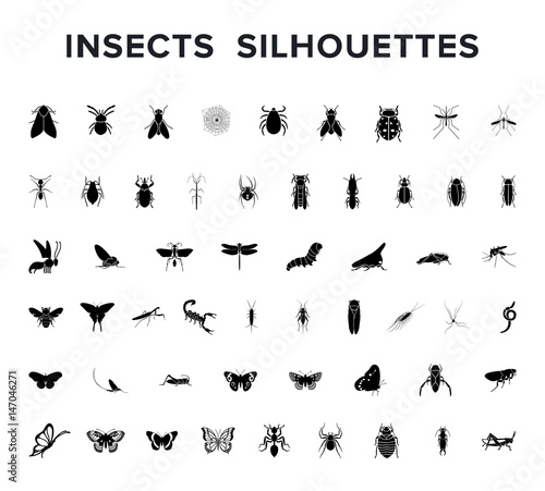 Vector set of insect silouettes isolated on white