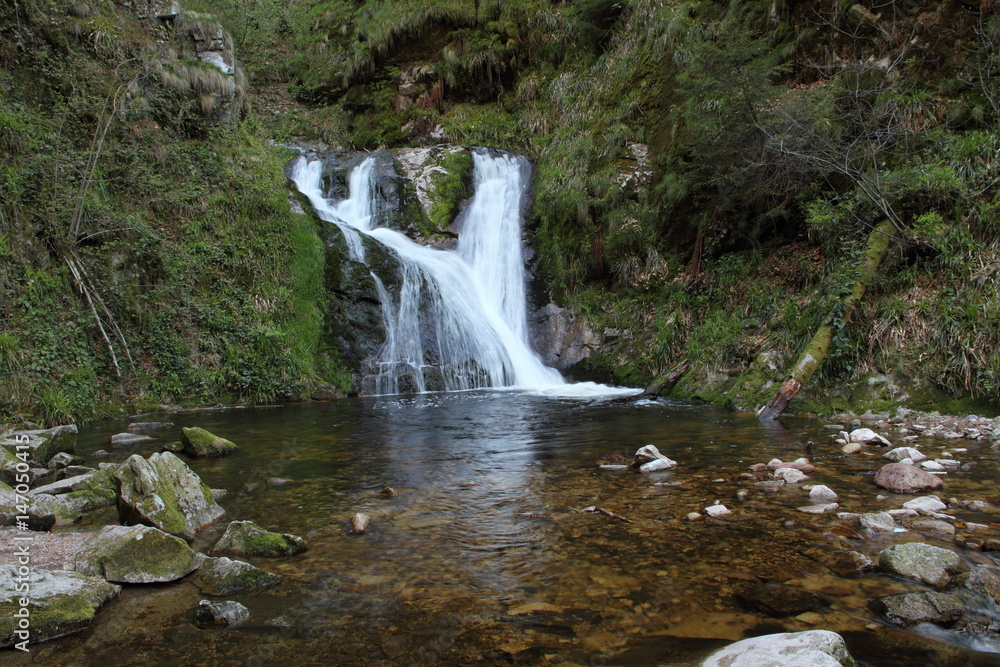 Fototapeta premium Allerheiligen Wasserfall im Schwarzwald