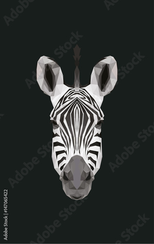 Zebra Geometric Art