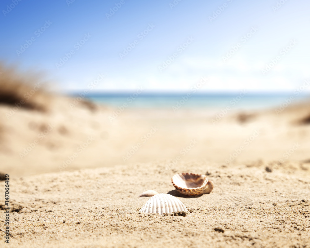 beach and summer time beach and summer time