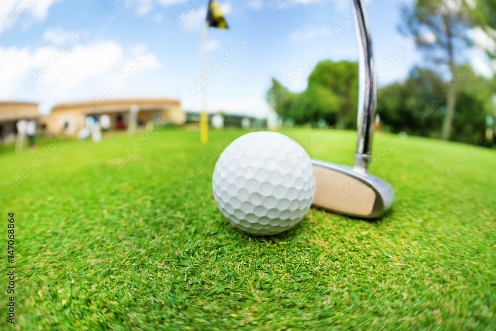 Obraz premium Golf ball and niblick ready to swing at course