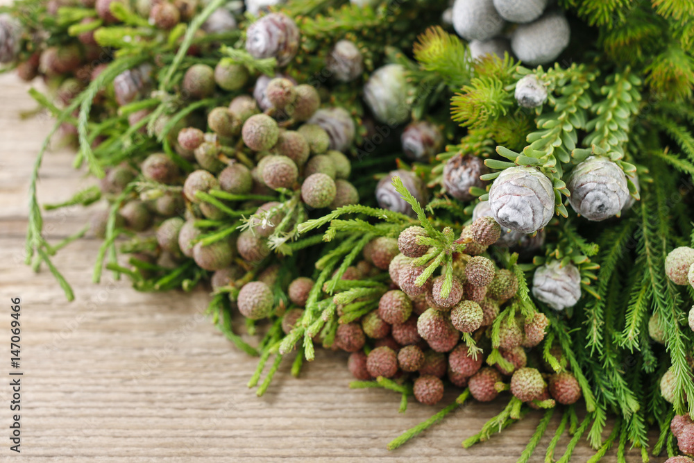 Fototapeta premium Mixed plants: herbs and shrub twigs.