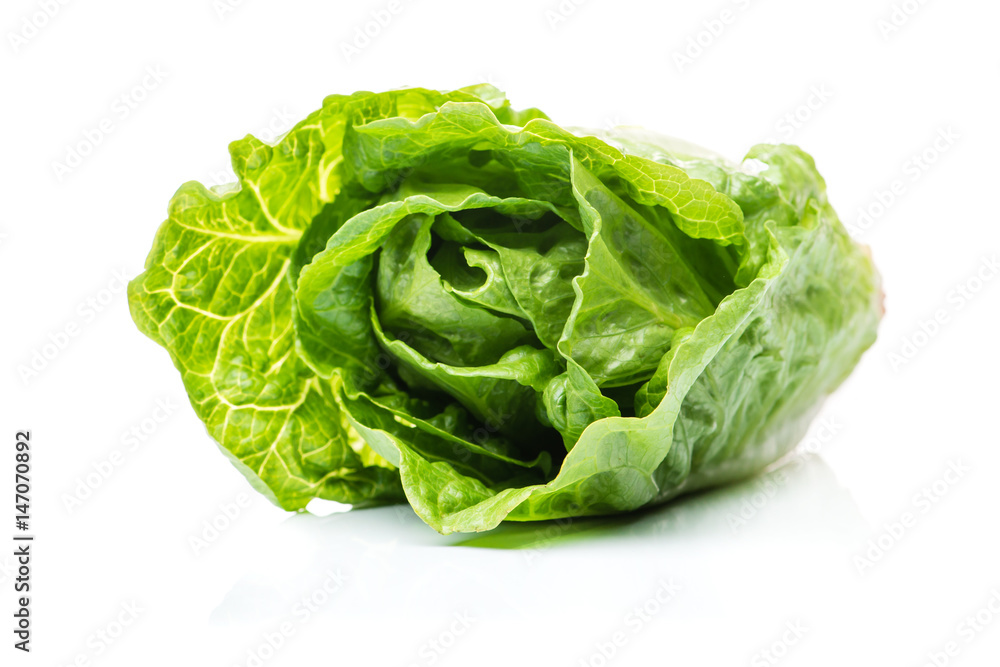 Chinese cabbage isolated on white background Chinese cabbage isolated on white background