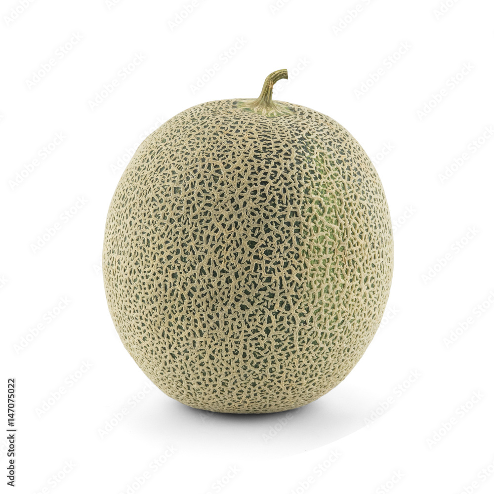 Melon isolated on white background Melon isolated on white background