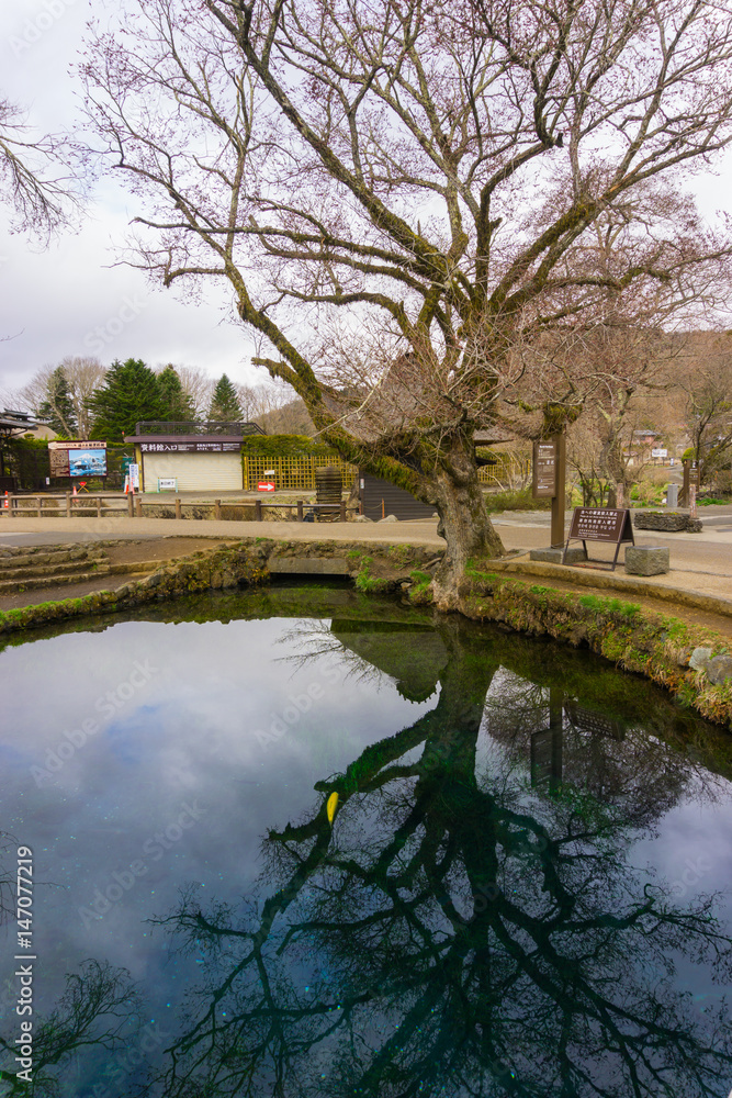 Fototapeta premium Oshino Hakkai village with water pond at Yamanashi Japan