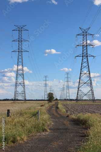 Power lines and dirt track with crops