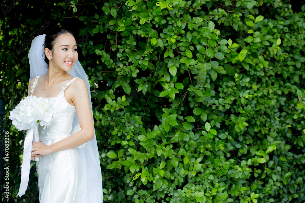 beautiful young woman on wedding day in white dress in the tree wall. Female portrait in the park - Selective focus. beautiful young woman on wedding day in white dress in the tree wall. Female portrait in the park - Selective focus.