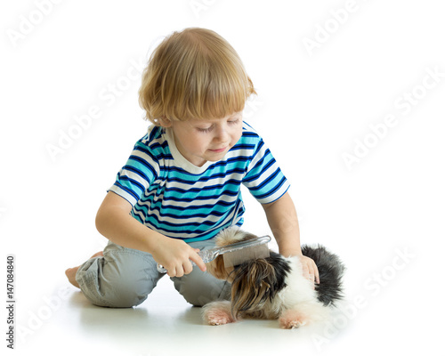 Child comb brushing dog