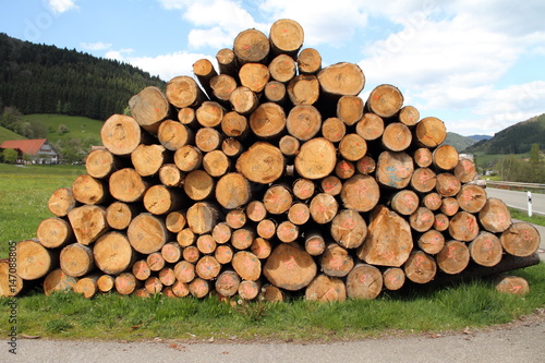 Holzpolter im Schwarzwald