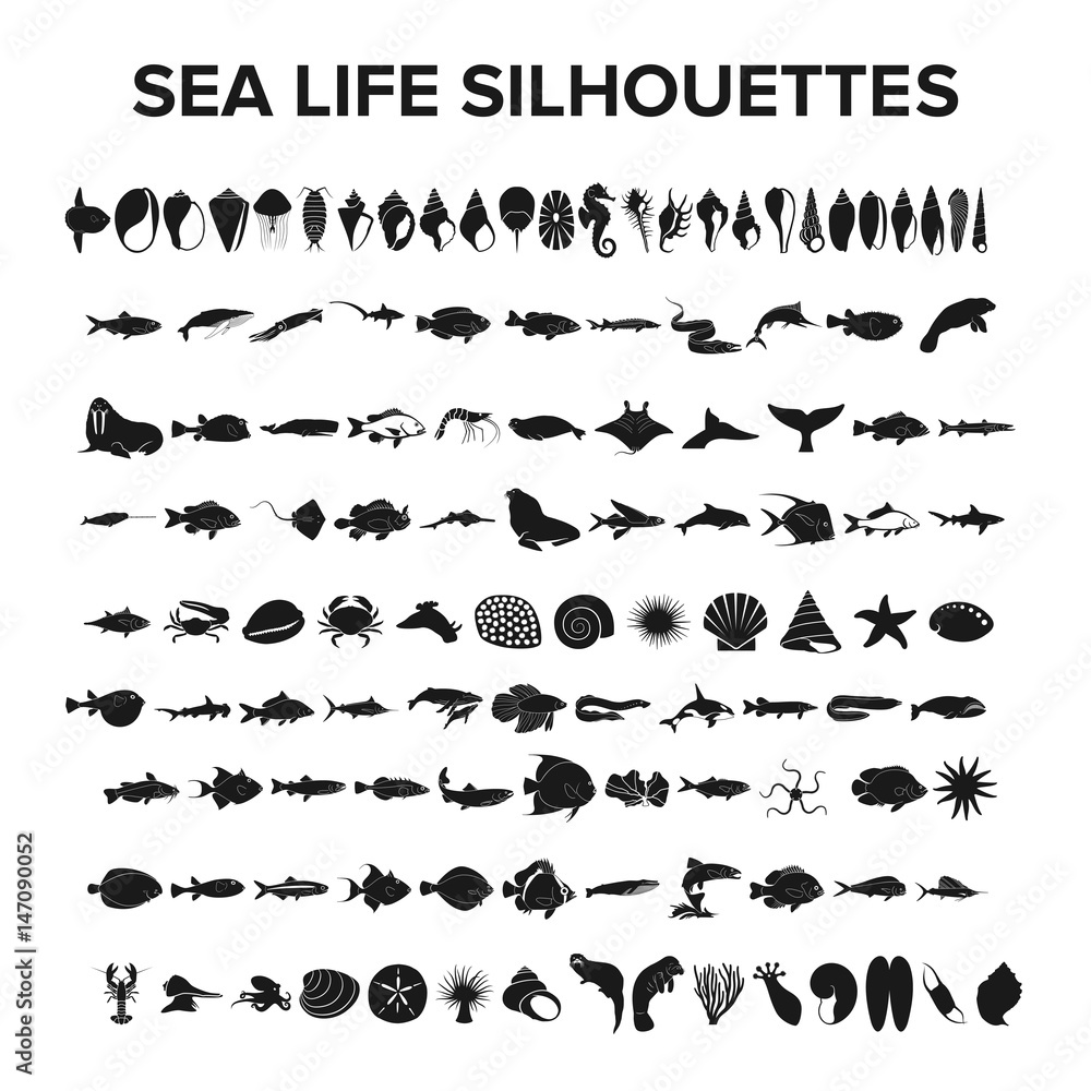 Fototapeta premium Sea life collection - vector illustration