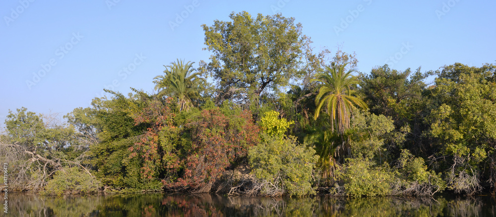 Fototapeta premium Okavango Delta