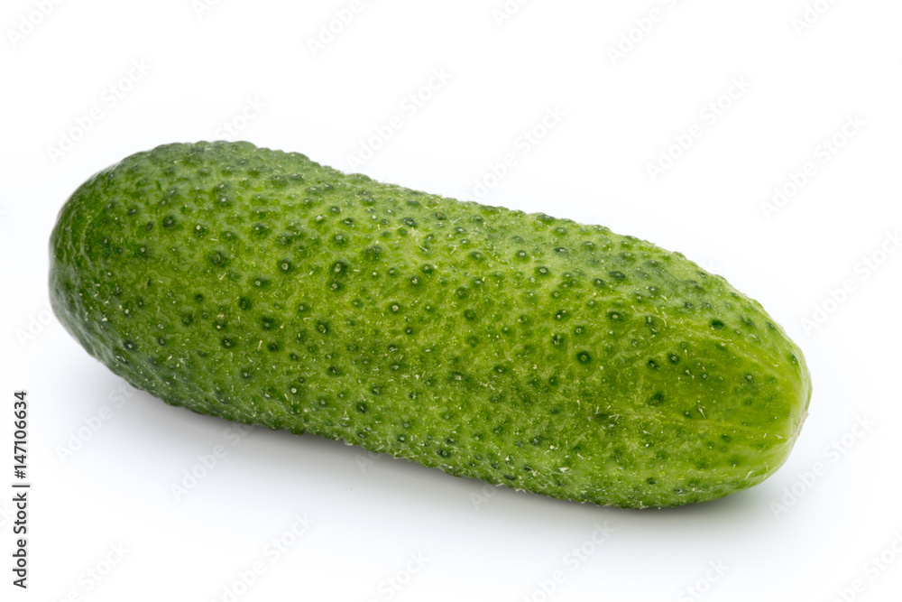 The first spring ecologically cucumbers. The first spring ecologically cucumbers.