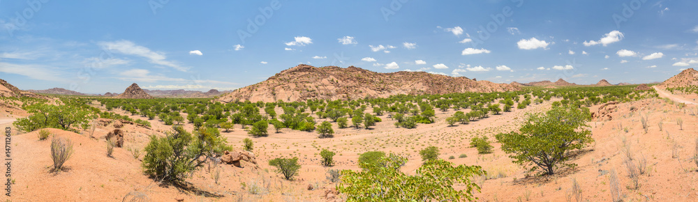 Landschaft bei Twyfelfontein, Kunene, Namibia Landschaft bei Twyfelfontein, Kunene, Namibia
