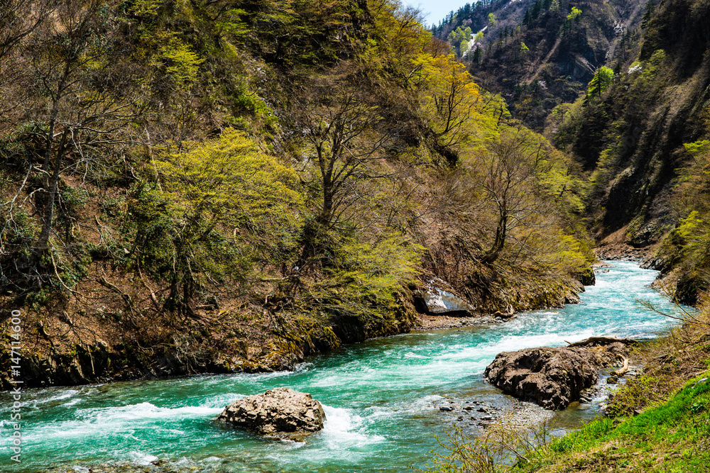 Naklejka premium 清津峡の春