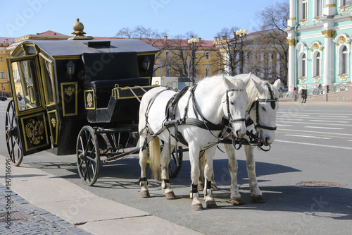 Horses in Saint Petersburg