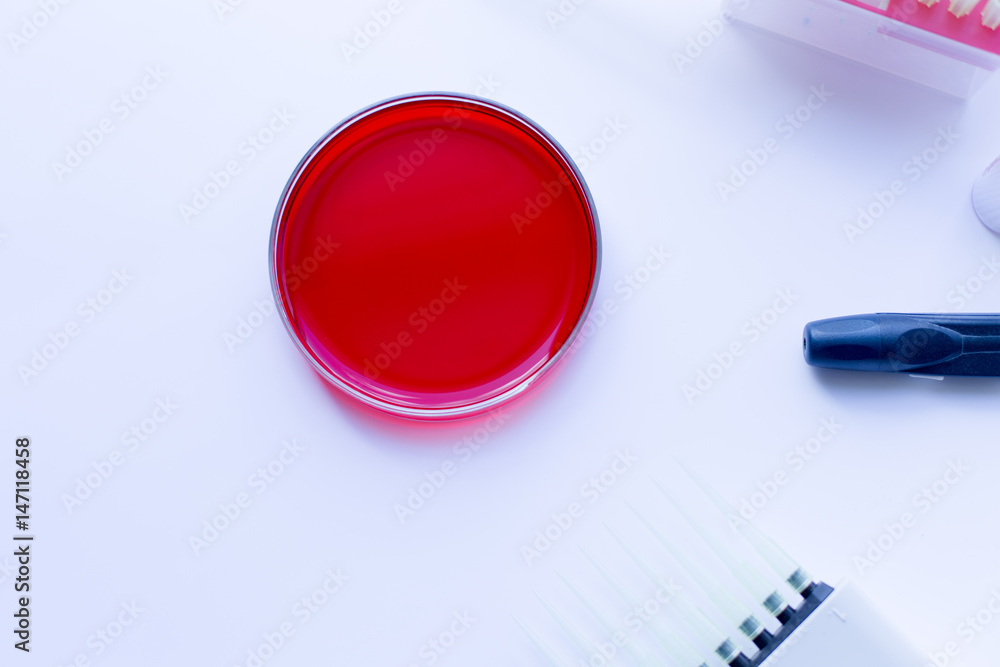 Blood test and experimental research analysis in laboratory.