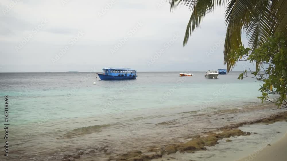 Passenger Boats Anchored near the Beach on in the Maldives Passenger Boats Anchored near the Beach on in the Maldives