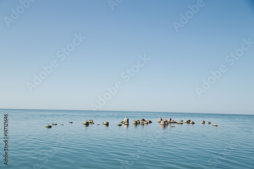 Gulls seats on buoys in the sea