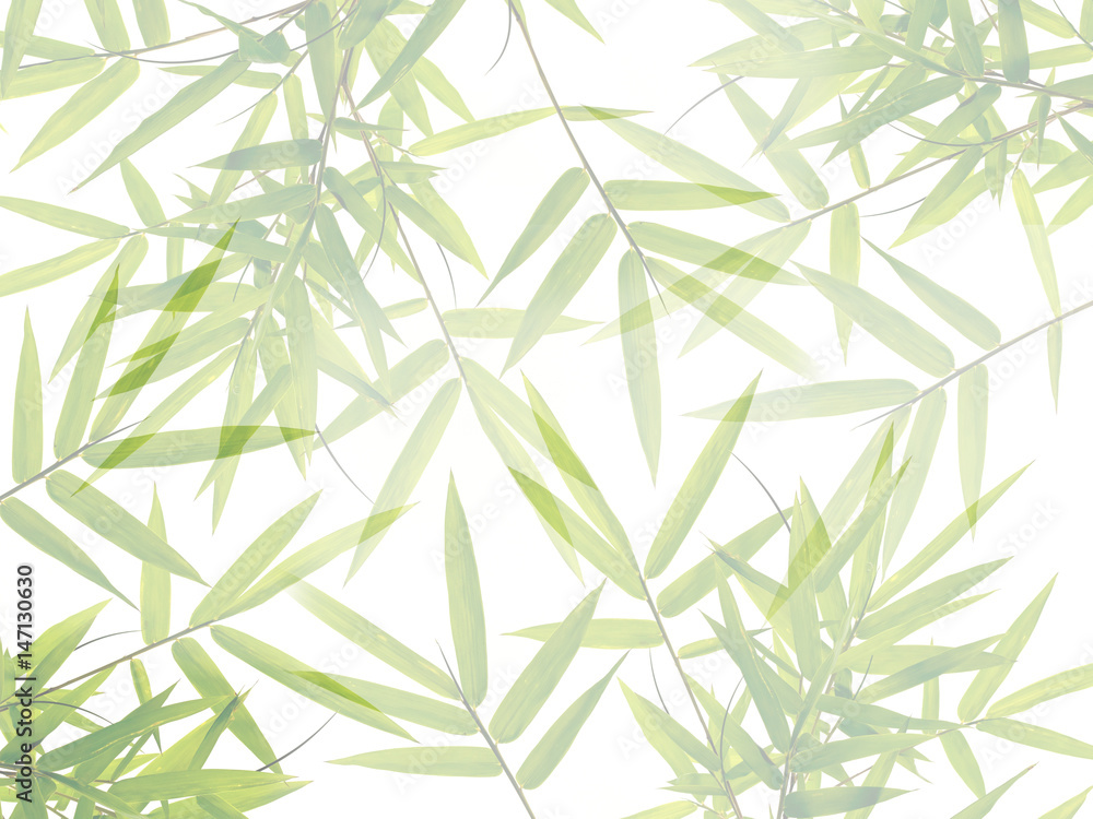Green bamboo leaves in nature forest background. Green bamboo leaves in nature forest background.
