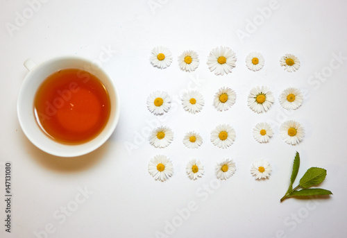 Fototapeta Naklejka Na Ścianę i Meble -  White cup with herbal camomile tea on the white background. Near are the small flowers of camomile and branch of mint. The line of camomiles. Top view.