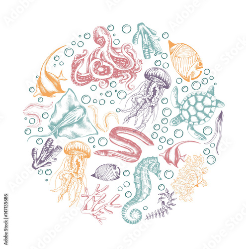 Set of marine animals