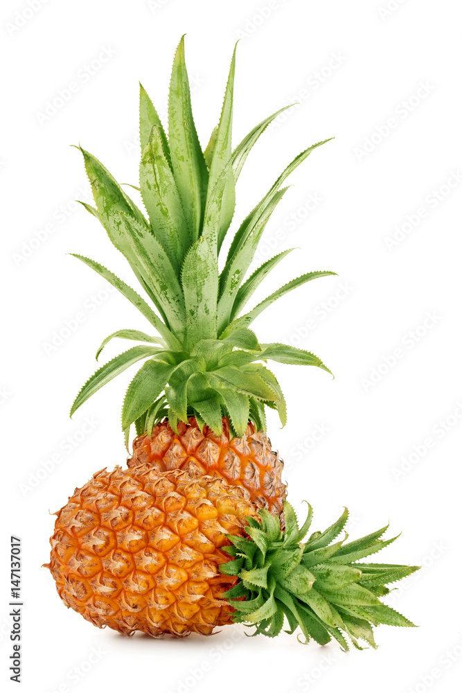 two ripe pineapple isolated on white background two ripe pineapple isolated on white background