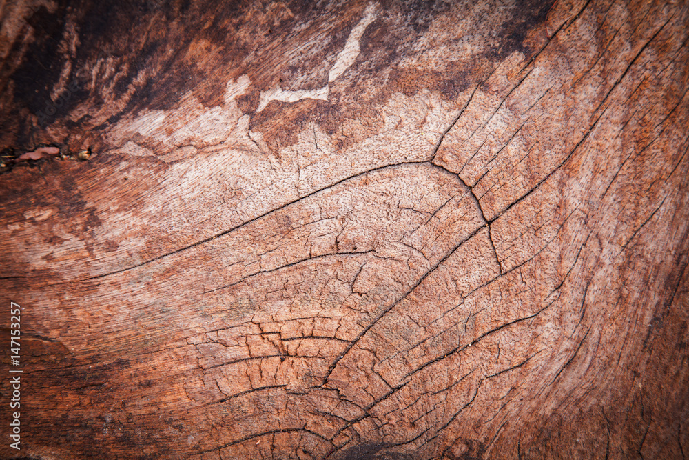 Naklejka premium old wooden background