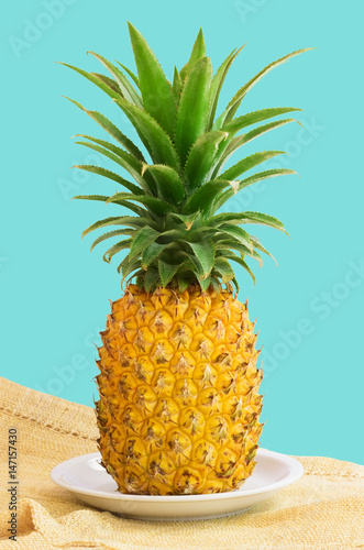 fresh pineapple with leaves on the bright blue background  photo