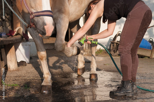 Young woman cleaning horse hoof by stream of water. photo