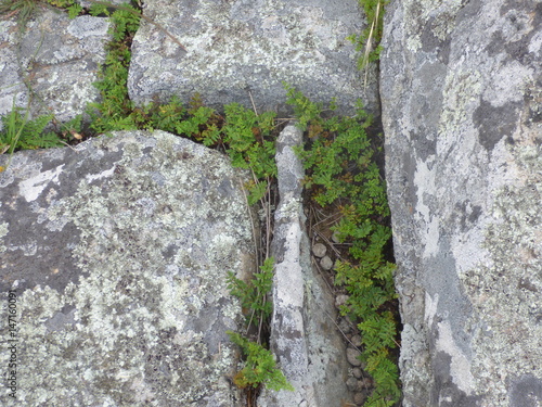 hintergrund