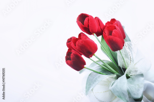 Red tulips with green leaves on white background, holiday and event concept