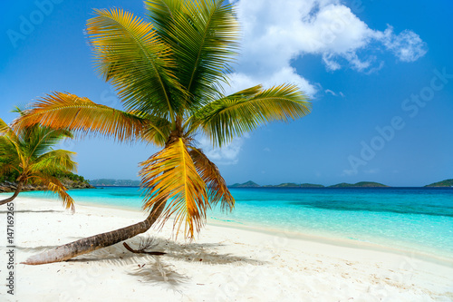 Beautiful tropical beach at Caribbean photo