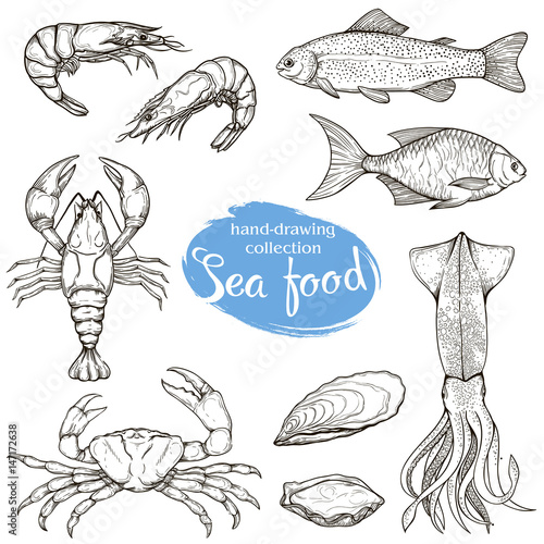 sketches of various seafood
