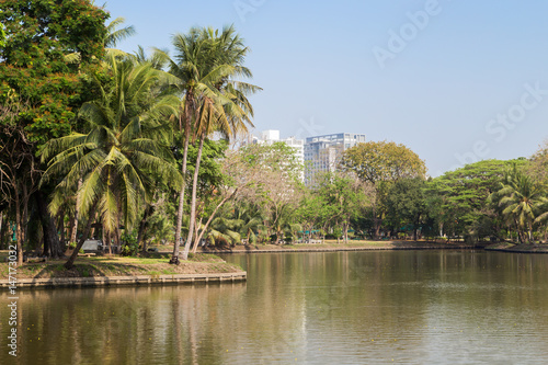 View of palm trees and lake at the Lumpini (Lumphini) Park in Bangkok, Thailand.