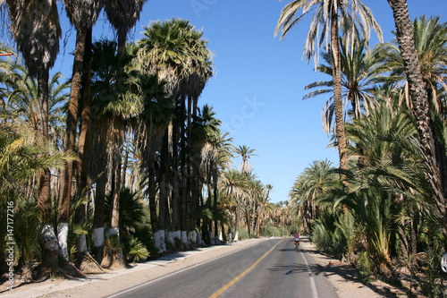 San Ignacio, Baja California Sur, Mexico