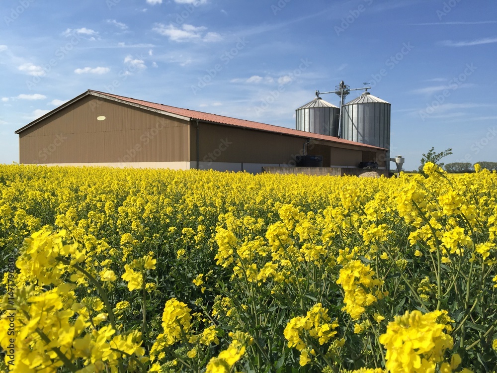 Landwirtschaft im Leipziger Umland