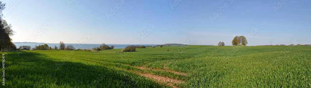 Fototapeta premium Groß Stresow, Rügen