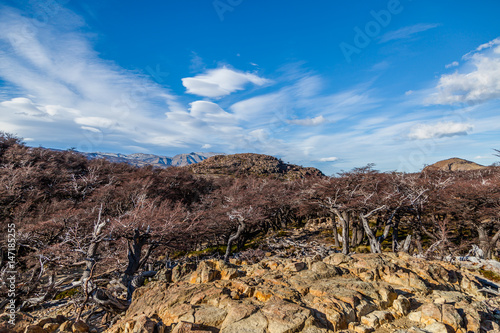 Amazing photos of Patagonia
